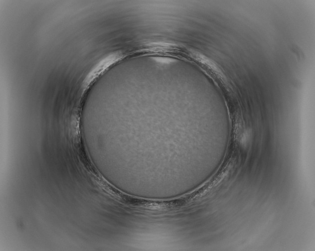 X0000112951362200909211145