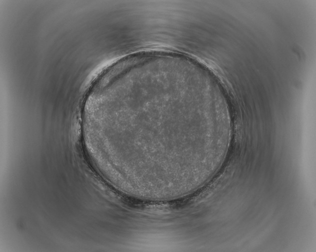 X0000112951363200909211145