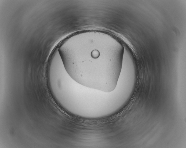 X0000112951364200909211145