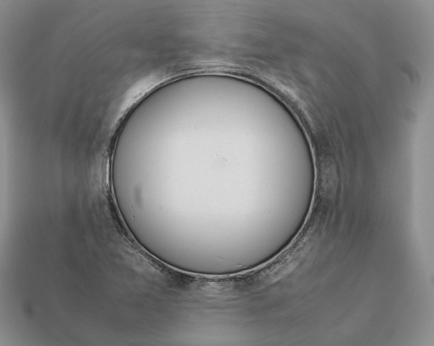 X0000112951365200909211145