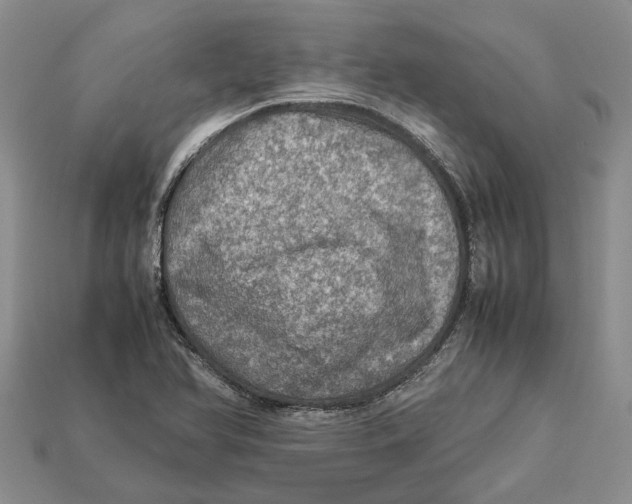 X0000112951366200909211145