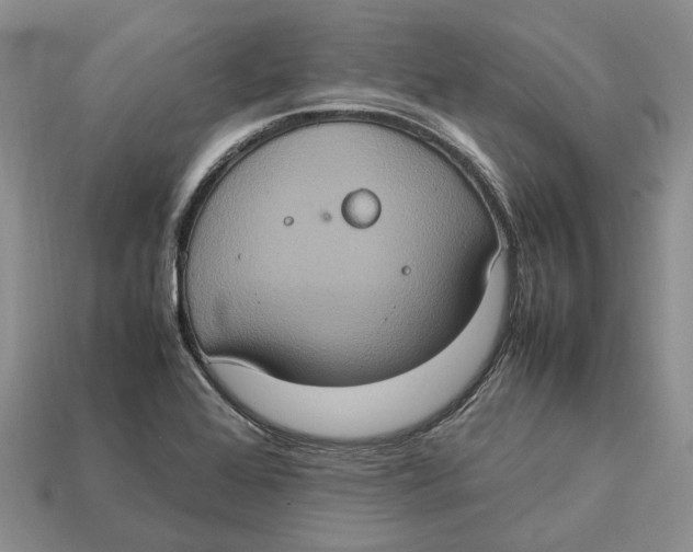 X0000112951368200909211145