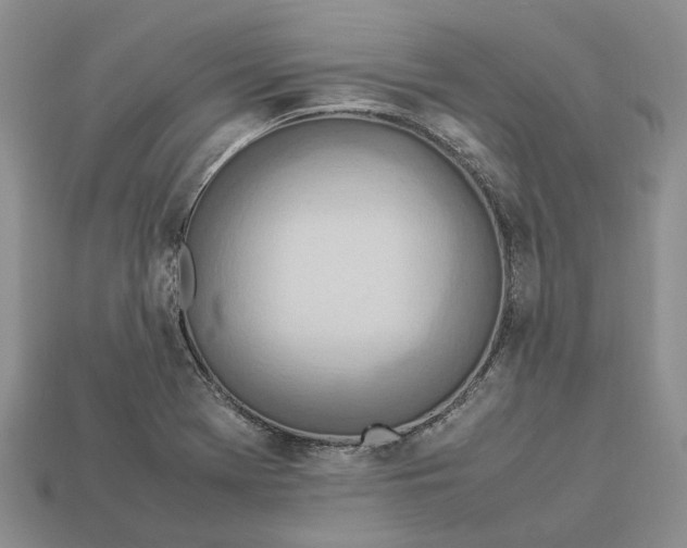 X0000112951369200909211145