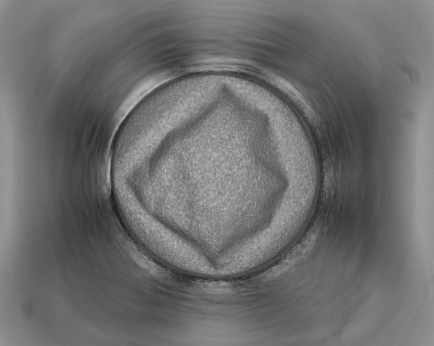 X0000112951370200909211145