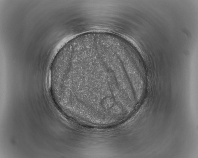 X0000112951371200909211145