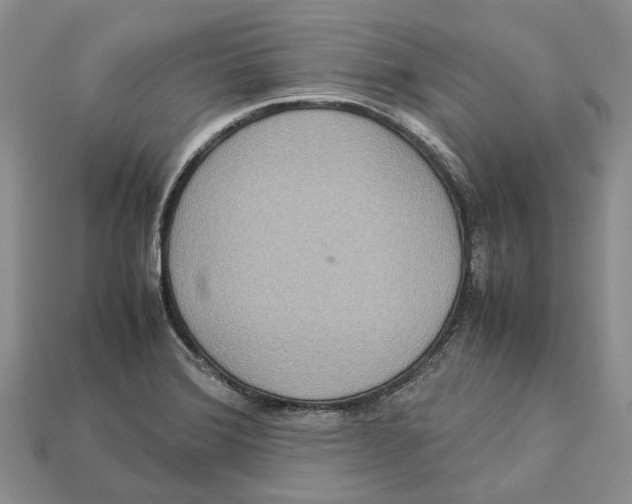 X0000112951372200909211145