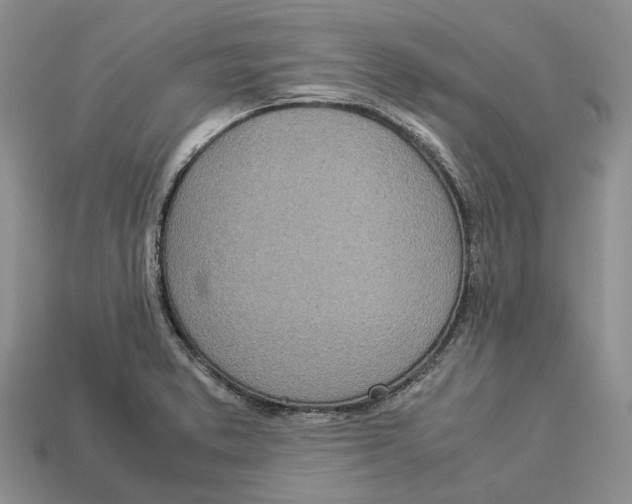 X0000112951373200909211145