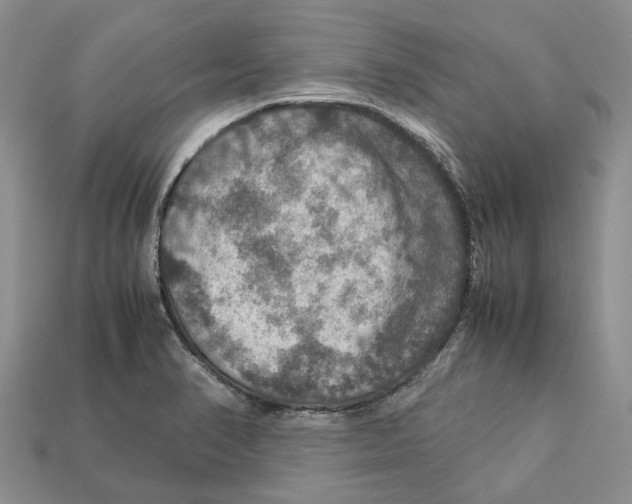 X0000112951374200909211145