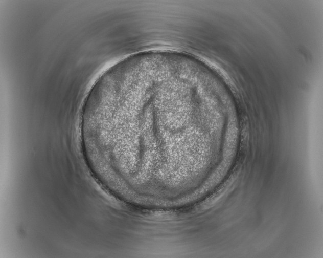 X0000112951375200909211145