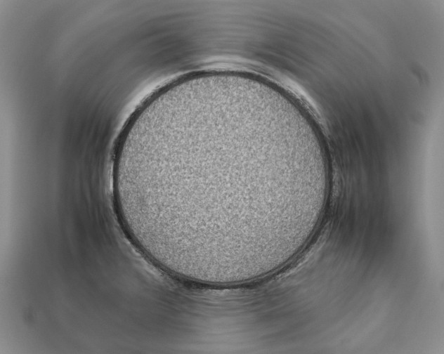 X0000112951376200909211145