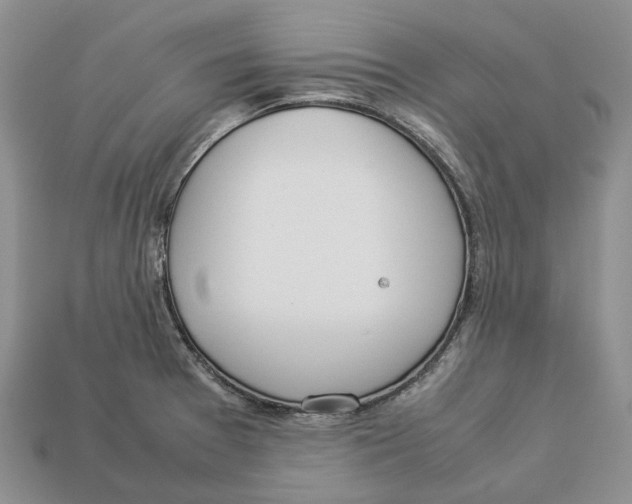 X0000112951377200909211145