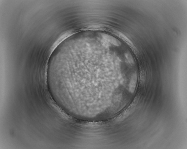 X0000112951378200909211145