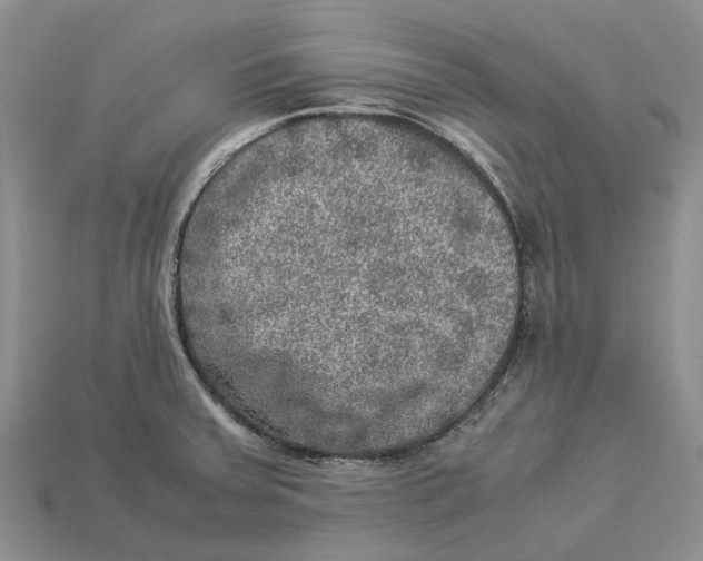 X0000112951379200909211145