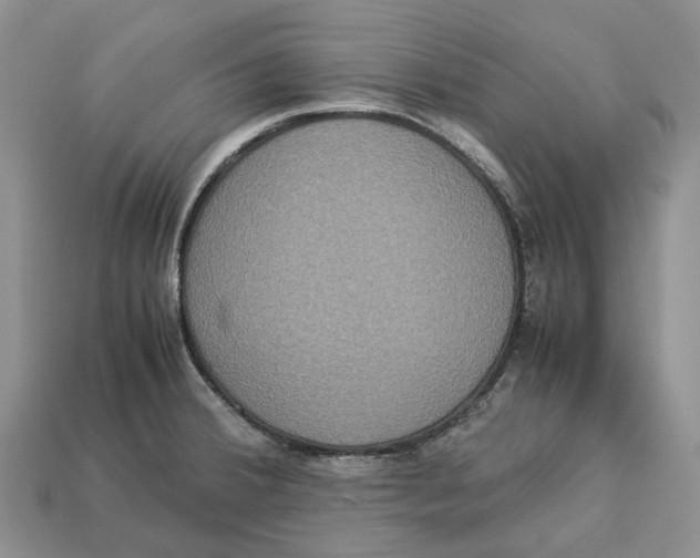 X0000112951380200909211145