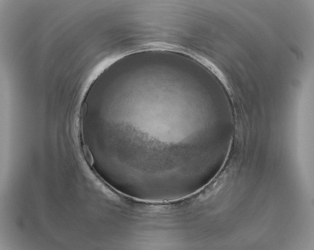 X0000112951381200909211145