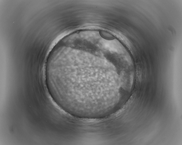 X0000112951382200909211145