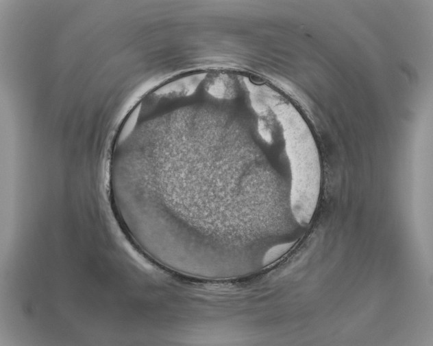 X0000112951383200909211145