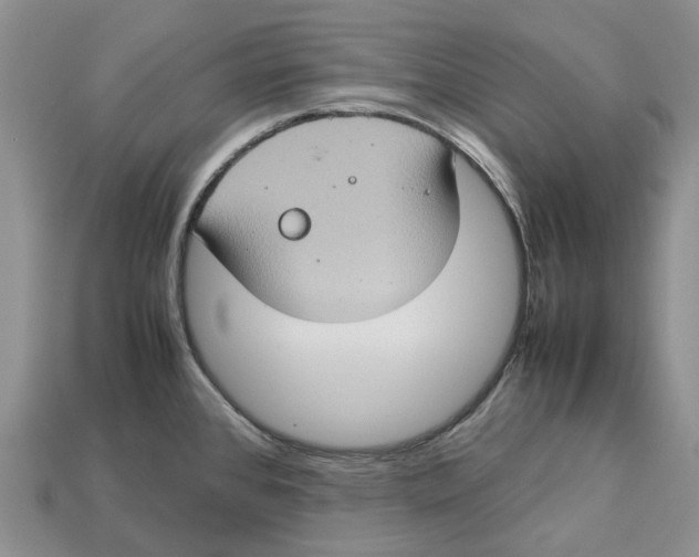 X0000112951384200909211145