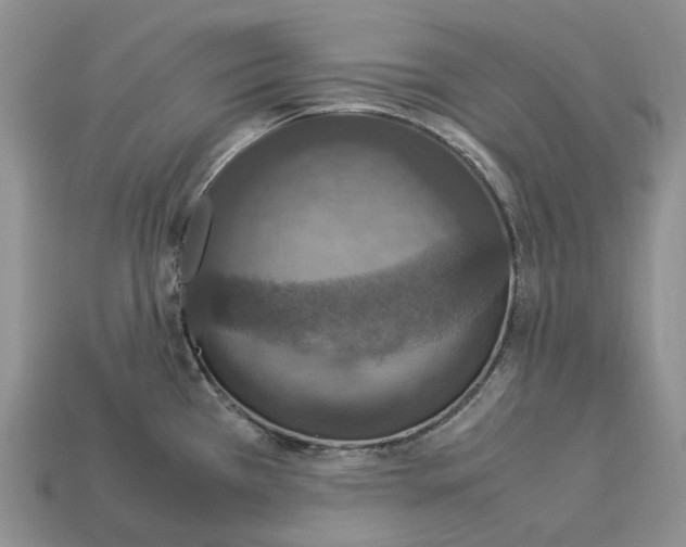 X0000112951385200909211145