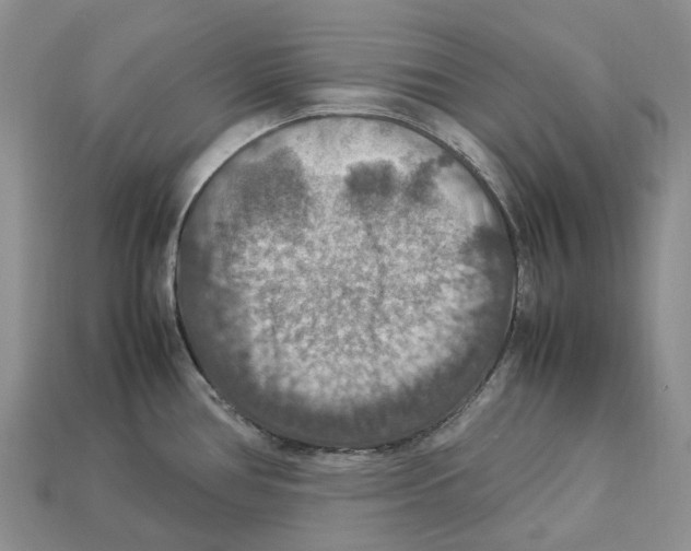 X0000112951386200909211145