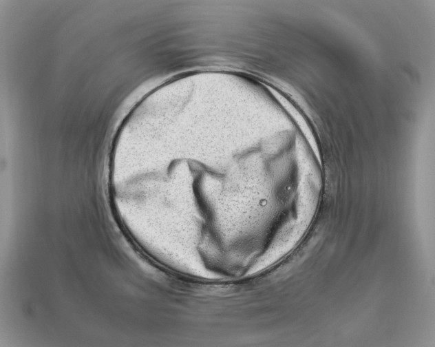 X0000112951387200909211145