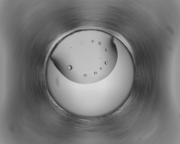 X0000112951388200909211145