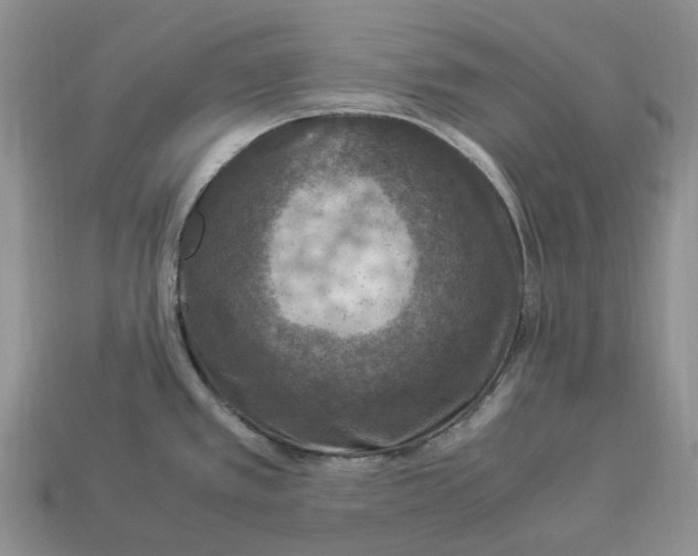 X0000112951389200909211145