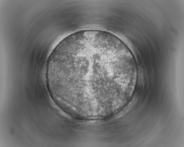 X0000112951390200909211145