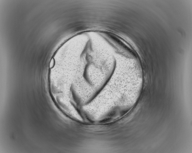 X0000112951391200909211145