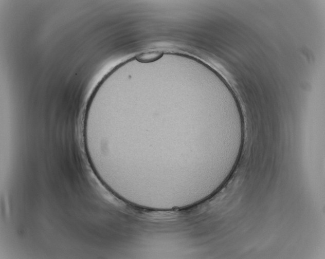 X0000112951392200909211145