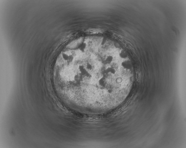 X0000112951393200909211144