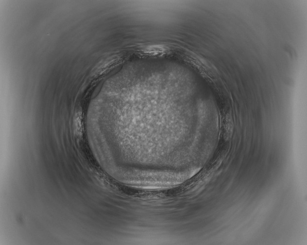 X0000112951394200909211144