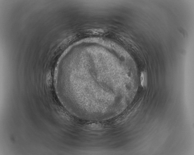 X0000112951395200909211144