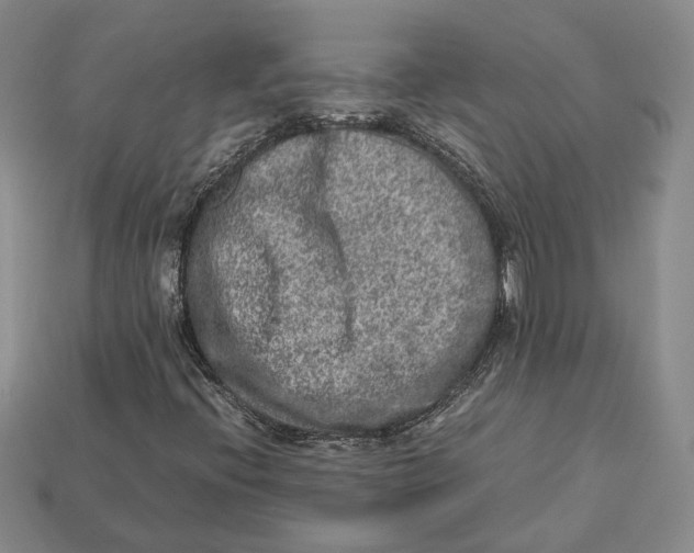 X0000112951396200909211144