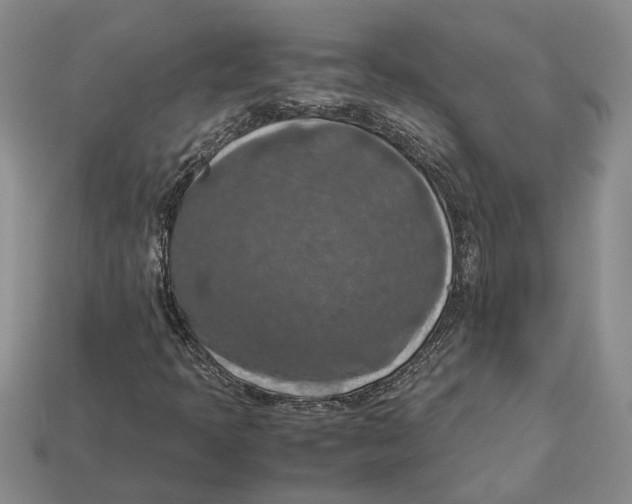 X0000112951397200909211144