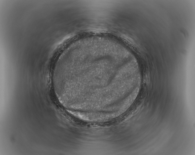 X0000112951398200909211144