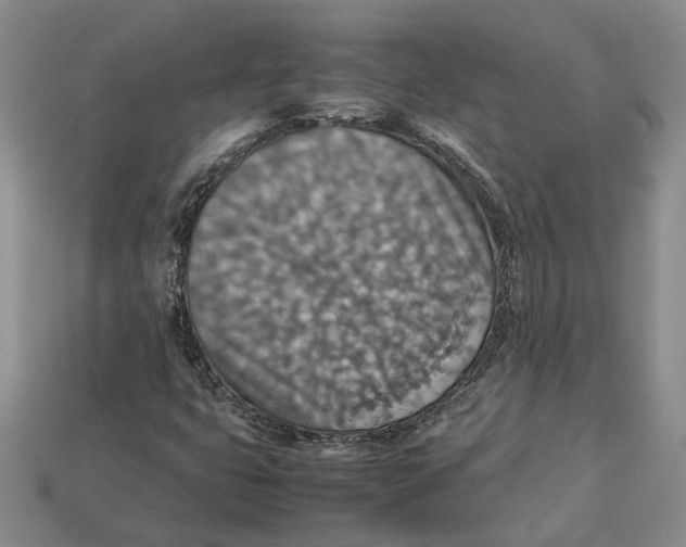 X0000112951399200909211144