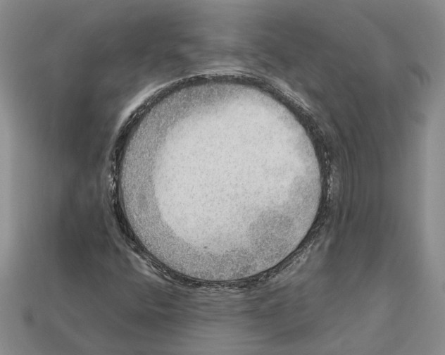 X0000112951400200909211144