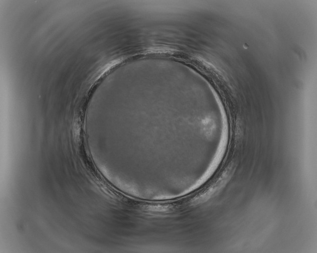 X0000112951401200909211144