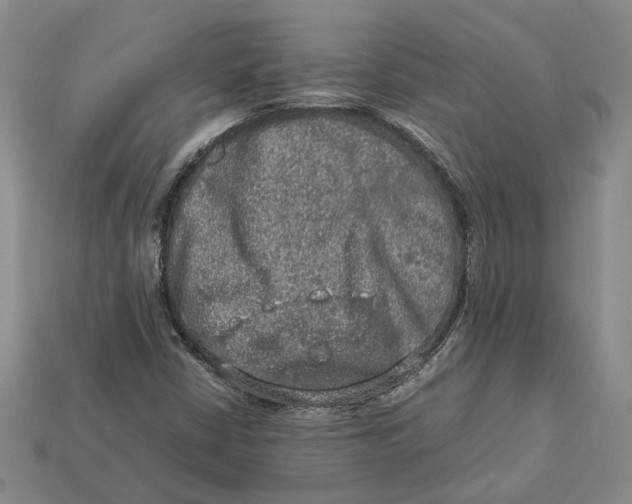 X0000112951402200909211144