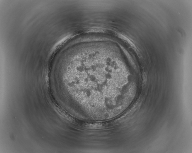 X0000112951403200909211144