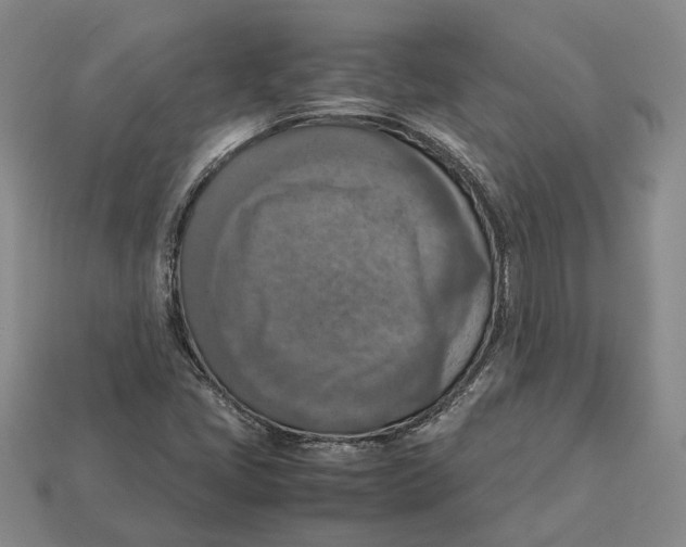 X0000112951405200909211144