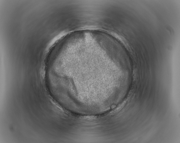 X0000112951406200909211144