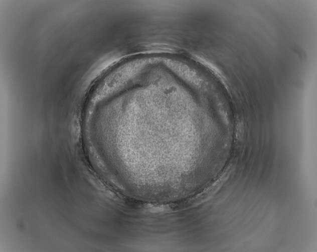 X0000112951407200909211144