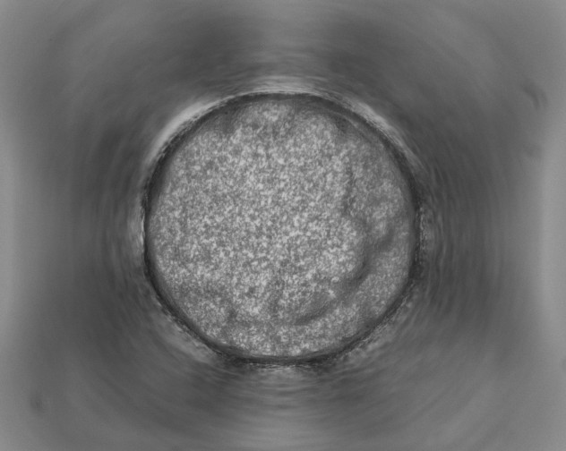 X0000112951408200909211144