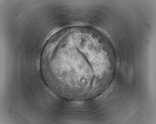 X0000112951409200909211145