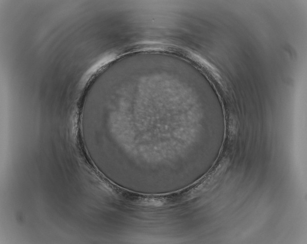 X0000112951411200909211145