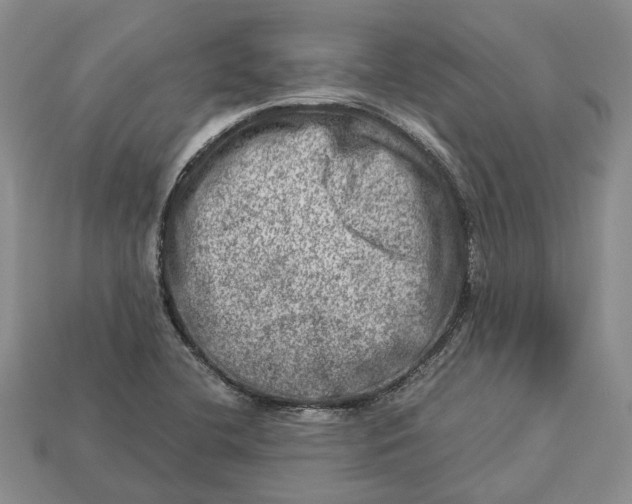 X0000112951412200909211145