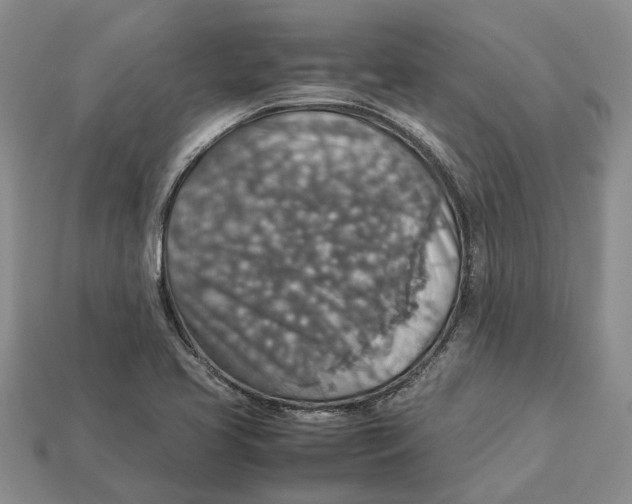 X0000112951413200909211145