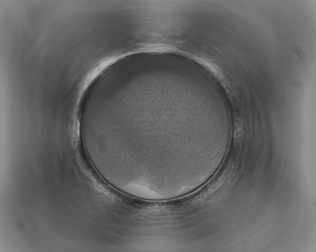 X0000112951414200909211145